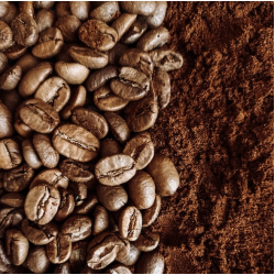 Aşçı Türk Kahvesi Tane Aşçı Türk Kahvesi Tane